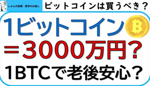 １ビットコイン＝3000万円に上昇する？1ビットコインあれば、老後は安心か？シティバンクの予想。これからのビットコインについて、考察します。