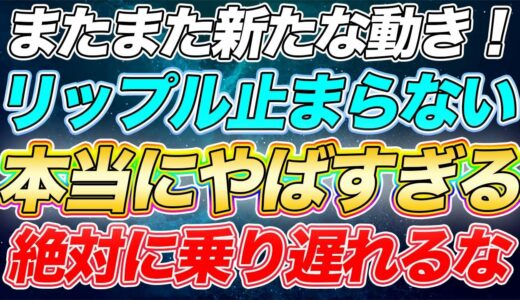 仮想通貨【リップル】必ず見て！本当に間に合わなくなる！リップルは待ってくれない。