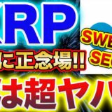 【XRP正直ヤバい!!!】リップルはSWELLに向けて132円を上に抜けるかがマジで重要!!抜ければ一気に価格上昇の可能性!!逆に抜けなければ…今後の動きを徹底解説!!【仮想通貨】【アルトコイン】