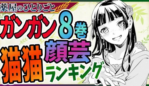 【薬屋のひとりごと】後編！ガンガン8巻とサンデー8巻の比較！猫の違い？謎の侍女も登場【考察/ネタバレ注意】