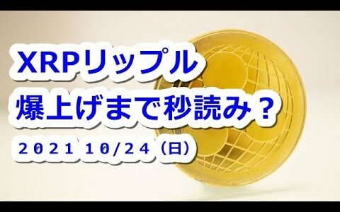 仮想通貨 XRPリップル爆上げまで秒読み？週足チャート分析【10月24日】