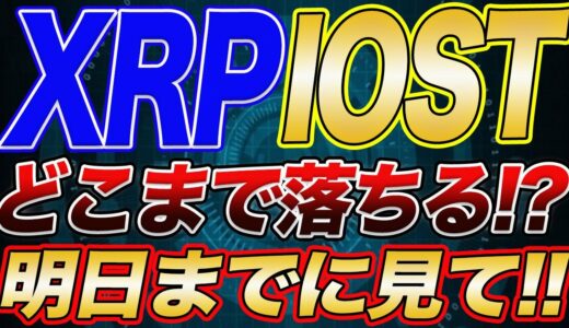 【※保有者は明日までに確認して!!】リップル、IOSTここ２日間は油断大敵!!でもチャンスが必ずくる!!今後の注目ポイントをプロが解説します!!【仮想通貨】