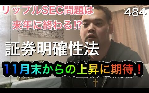 仮想通貨 リップルの訴訟のゴールは来年か⁉︎　目先の下落に動じない精神❗️月末から12月にかけての上昇に期待