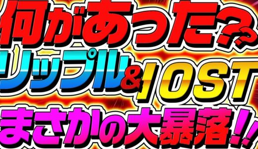 【⚠︎緊急動画⚠︎】リップル、IOSTなど仮想通貨市場が大暴落！何があった？暴落の要因と今後の戦略を徹底解説！