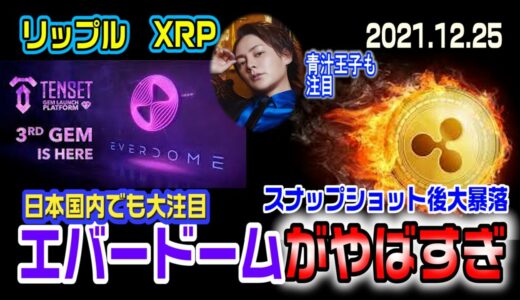 リップル（XRP)スナップショット後大暴落も大丈夫そう！？テンセットエバードームが本当にやばすぎる