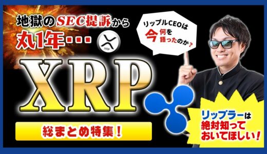 【投資】XRP総まとめ特集！SEC有価証券提訴から丸1年経過も決着がつかない泥沼法廷闘争でも最高の結果をリップル社は達成！？国内仮想通貨取引所が新スナップショット&エアドロップ対応表明！