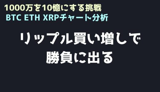 大勝負に出てみる｜ビットコイン、イーサリアム、リップルの値動きを解説