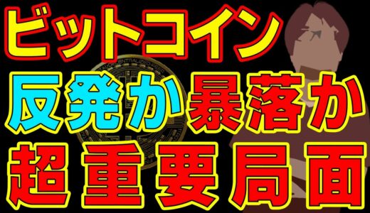 【ビットコイン＆イーサリアム＆リップル＆ネム＆IOST】仮想通貨　暴落寸前？！ついに超重要価格まで下落。反発できるか下落してしまうのか。