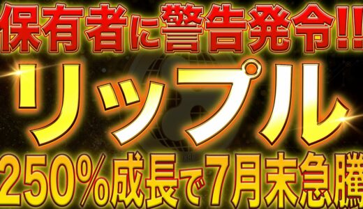 【仮想通貨リップル】XRPこれから！事業拡大で250%の成長！