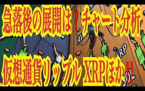 【仮想通貨リップル XRP情報局】急落後の展開は⁉️チャート分析💹仮想通貨リップル XRPほか♪───Ｏ（≧∇≦）Ｏ────♪