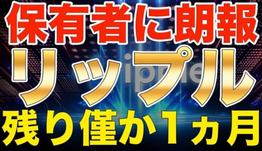 【仮想通貨リップル】XRP保有者に朗報!!残り僅か1ヶ月『ついに待ちに待ったスパークトークン配布』【ビットコイン】