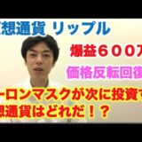 仮想通貨 リップル イーロンマスクが次に狙うコインは！？　価格反転回復！爆益600万