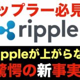 【仮想通貨】Ripple リップル が上がらない驚愕の新事実！ XRP の今後とは！？