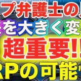 【仮想通貨リップル】超重要!!リップル社訴訟『トップ弁護士の見解は？』XRPだけの問題ではない!暗号資産の未来を左右する