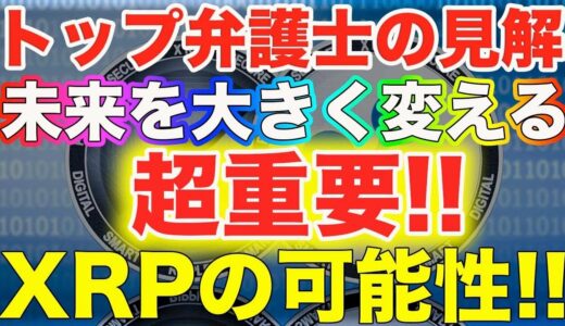 【仮想通貨リップル】超重要!!リップル社訴訟『トップ弁護士の見解は？』XRPだけの問題ではない!暗号資産の未来を左右する