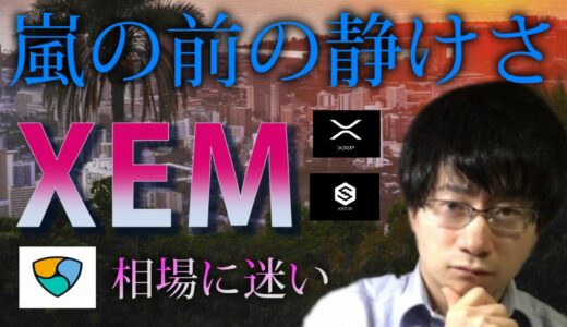 【仮想通貨リップル,XEM,IOST】相場に迷いが生じる。押し目ラインを探す。