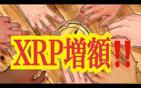 【仮想通貨】リップル最新情報！XRP増額！！
