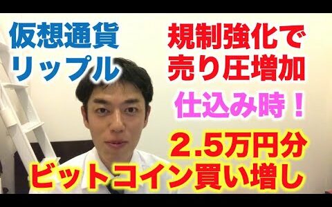 仮想通貨 リップル 規制強化で大幅下落 仕込み時！ ビットコイン買い増し 2.5万円分