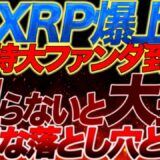 【仮想通貨】リップル超特大ファンダ!将来は明るいが今は大きな落とし穴に注意!!【XRP】【ニュース】