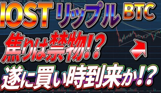 【仮想通貨】リップル/IOST/ビットコイン遂にうごいた！ここから爆上げか！？