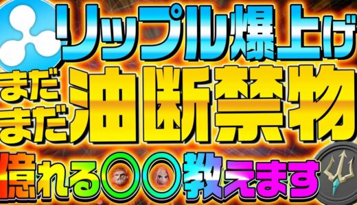 【リップル警戒速報】XRPの爆上げは油断禁物！？SEC訴訟が遂に動いた！裁判によって仮想通貨の今後が大きく変わります！【ビットコイン】【メタゴット】