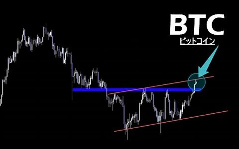 不甲斐ない【BTC ビットコイン】