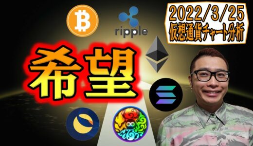 【仮想通貨 ﾋﾞｯﾄｺｲﾝBTC ＆ ｱﾙﾄｺｲﾝ 分析】上昇への希望が大きく膨らむ展開!!