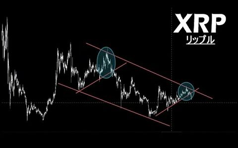 同じパターンで下落中。今1番取引すべきはリップル【XRP】