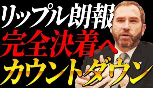 【XRP保有者に朗報!!】リップルが遂に完全決着へカウントダウン⁉️今後の戦略教えます！【仮想通貨】