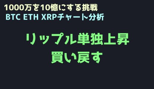 大好きなリップルを応援する｜ビットコイン、イーサリアム、リップルの値動きを解説