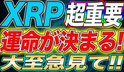 【※リップル保有者の運命は!?】⚠︎絶対に見逃し厳禁です⚠︎運命を分ける大注目ポイントと今後の予想される展開をプロが教えます!!【仮想通貨】【XRP】