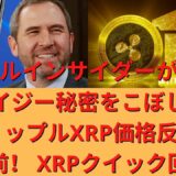 ⚠️リップルビットコインイーサリアム – リップルインサイダーがXRPのクレイジー秘密をこぼしました！ リップルXRP価格反転が始まる前！ XRPクイック回復！/クリプトブラブラ