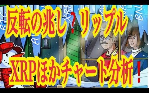 【仮想通貨リップルXRP情報局】反転の兆し？リップルXRPほかチャート分析！！