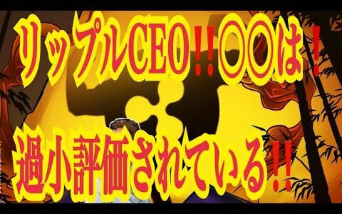 【仮想通貨リップルXRP情報局】リップルCEO！！〇〇は過小評価されている！！