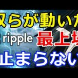 仮想通貨リップル（XRP）奴らが動いた！『XRPの再上場を』この勢いは止まらない