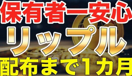 【仮想通貨リップル】XRP保有者は一安心!!『スパークトークン通常配布』が決定!!あと1ヵ月で配布開始【ビットコイン】