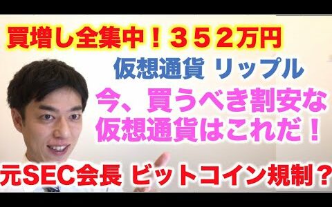 仮想通貨 リップル 買増し全集中！３５２万円分  今、買うべき割安な仮想通貨はどれ！？ 元SEC会長 ビットコイン規制する！？