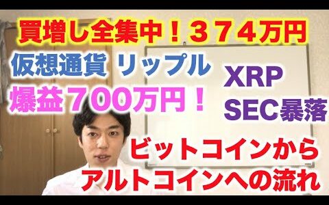 仮想通貨 リップル 買増し全集中！374万円分 爆益700万 ビットコインからアルトへ　SEC影響でXRP暴落