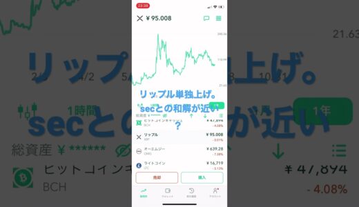 仮想通貨リップル　secとの和解が来月成立か？和解の後は、やはり🌕🌕🌕🌕🌕🚀🚀🚀🚀🚀🚀