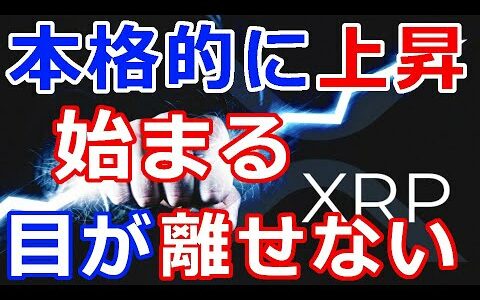 仮想通貨リップル（XRP）本格的な価格上昇が始まる！『この動きに目が離せない』