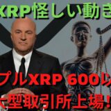 リップルXRP 600以上の大型取引所上場！ XRP隠されたブロックチェーン技術！XRP怪しい動き！ SECいじめられる！ 新しいものの可能性！（リップルSEC、リップルSEC訴訟、リップル訴訟）