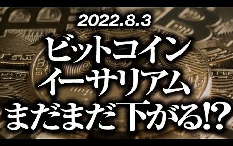 ビットコイン・イーサリアム底固め失敗！？［2022/8/3］【仮想通貨・BTC・ETH・FX】※2倍速推奨