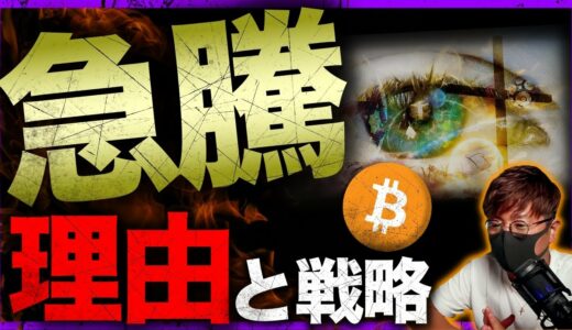 仮想通貨市場急騰の理由。専門家は〇〇コインに強気？？