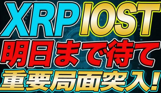 【※暴落の可能性が浮上!?】リップル・IOST保有者は絶対見て!!明日まで要警戒!!今後の予想される展開と注意点を全て教えます!!【仮想通貨】【XRP】