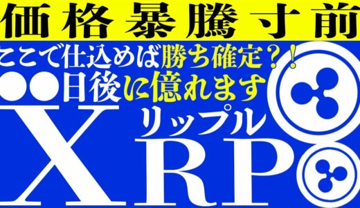 【リップル（XRP）】このタイミングで仕込めば1,000倍も現実的にあり得る？！今後爆上げのビックファンダ登場！【仮想通貨】【ビットコイン】【イーサリアム】【Sweatcon】【スェットコイン】