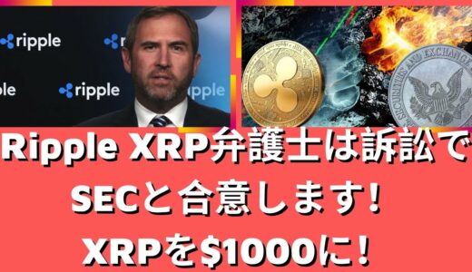 Ripple XRP弁護士は訴訟でSECと合意します！中国軍と米軍がXRPを推進することにしました！ XRPを$100に！（リップルSEC、リップルSEC訴訟、リップル訴訟、リップル合意、リップル和解