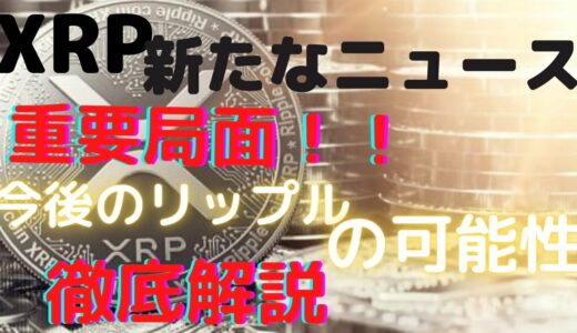 仮想通貨リップルで将来的に送り人になれる！？最新ニュースからわかるリップルの可能について徹底解説！！【XRP】【仮想通貨】【ニュース】【SDGs】