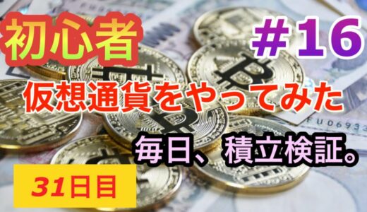 初心者　仮想通貨　リップル(XRP)定期購入検証　31日目　#16