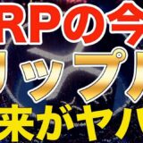 【仮想通貨リップル】XRPの今後!!今日大きく動く!?未来がヤバい!Defi参入で間違えなく価格が爆上げ【ビットコイン】