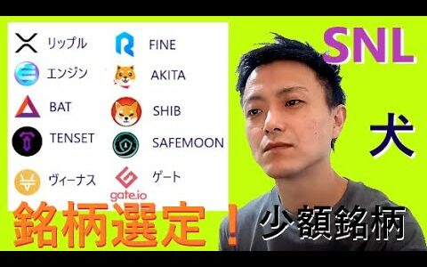 仮想通貨リップル,エンジン,BAT,TENSET,XVS,FINE,SHIB,AKITA,SAFEMOON,GT2021年5月10日銘柄分析